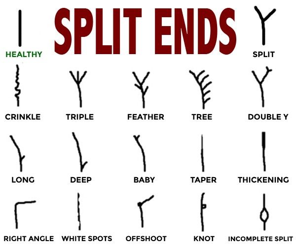 What Are Beard Split Ends