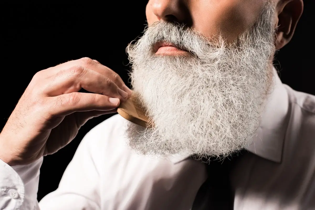 5 Best Beard Straightener You Can Find