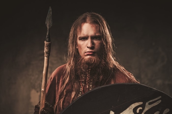 viking braided beard