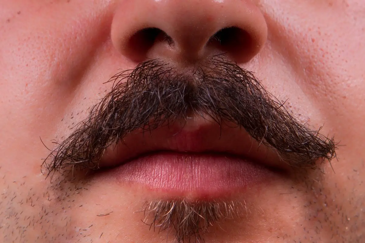 What are the stages of mustache growth
